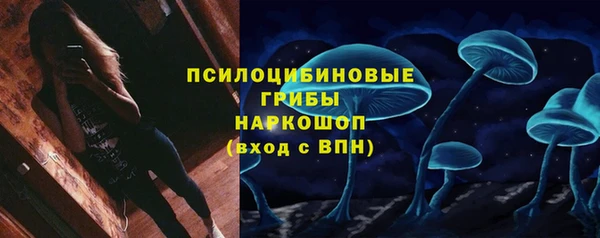 spice Медногорск