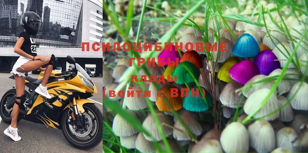 индика Сясьстрой