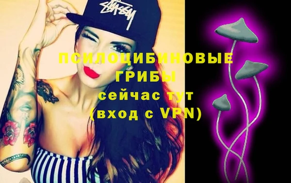 винт Мегион