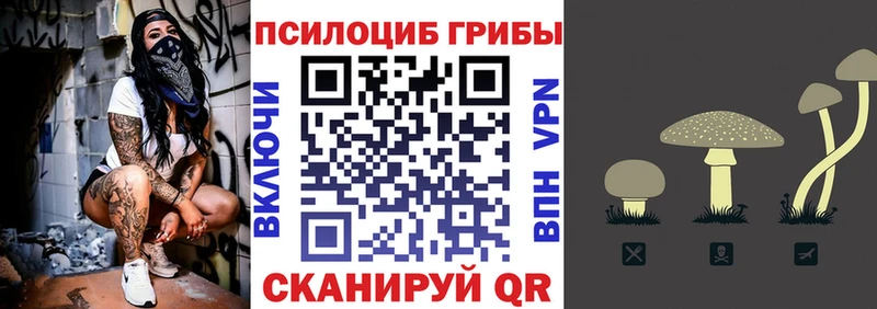 Галлюциногенные грибы GOLDEN TEACHER  купить  сайты  Чекалин 